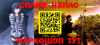 каннабис Будённовск